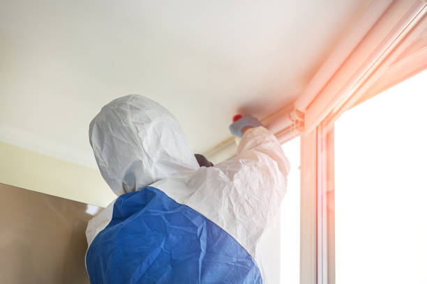 Best Residential Mold Inspection & Testing  in Tariffville, CT